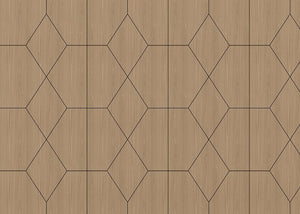 Hex Decorative Panel