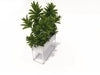 LINART Wide Planter