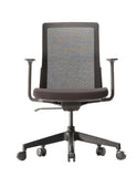 A-Two-mesh-chair